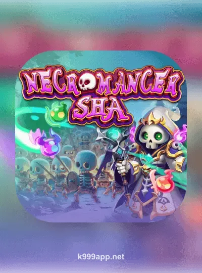 নেক্রোম্যান্সার•শা